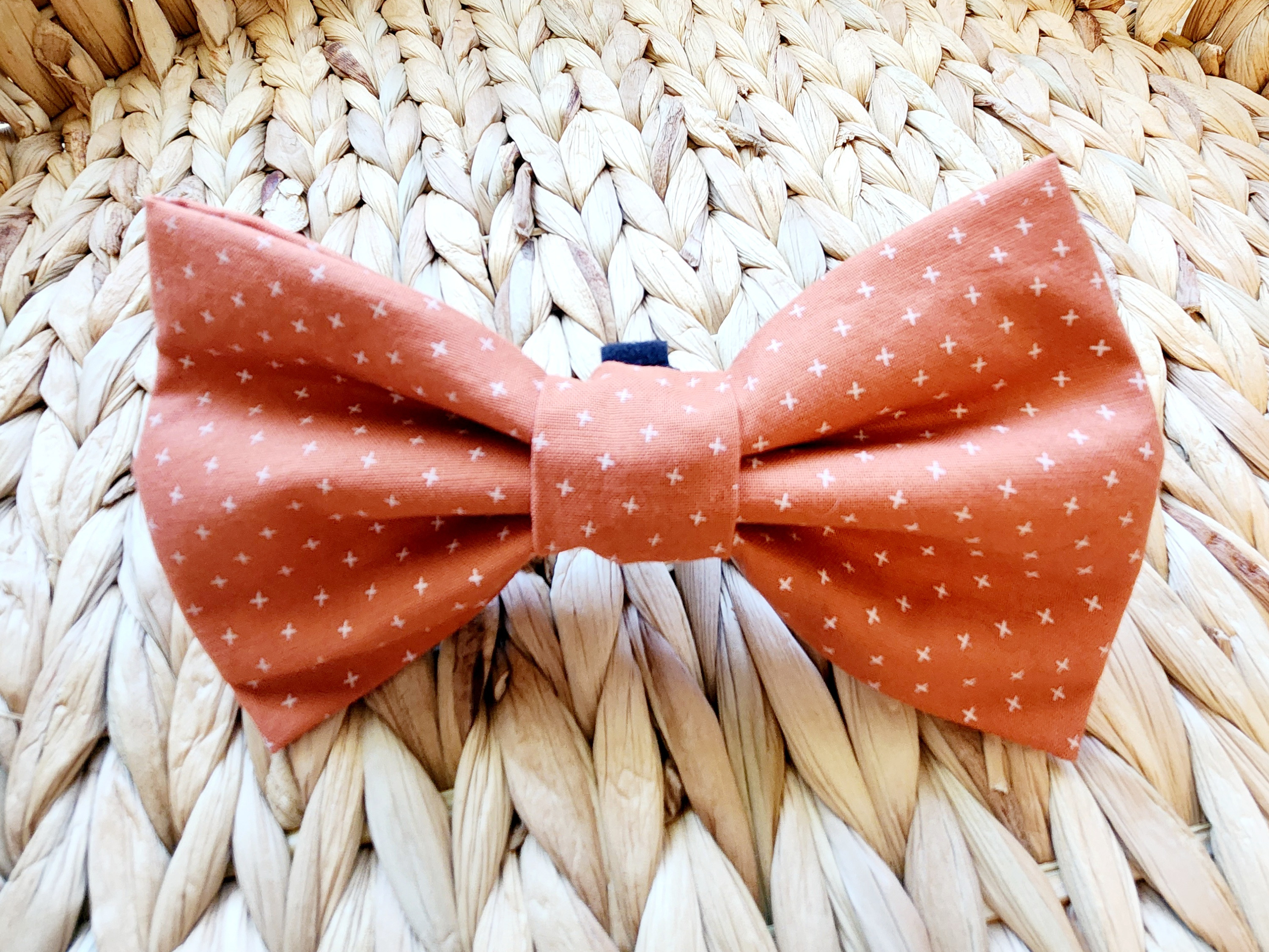 Make Adorable Dog Bow Ties at Home