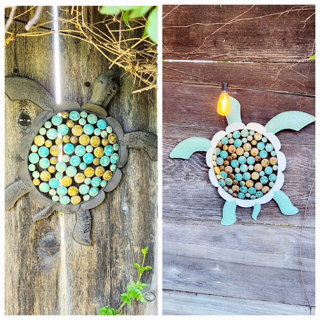 Turtle Wall Art