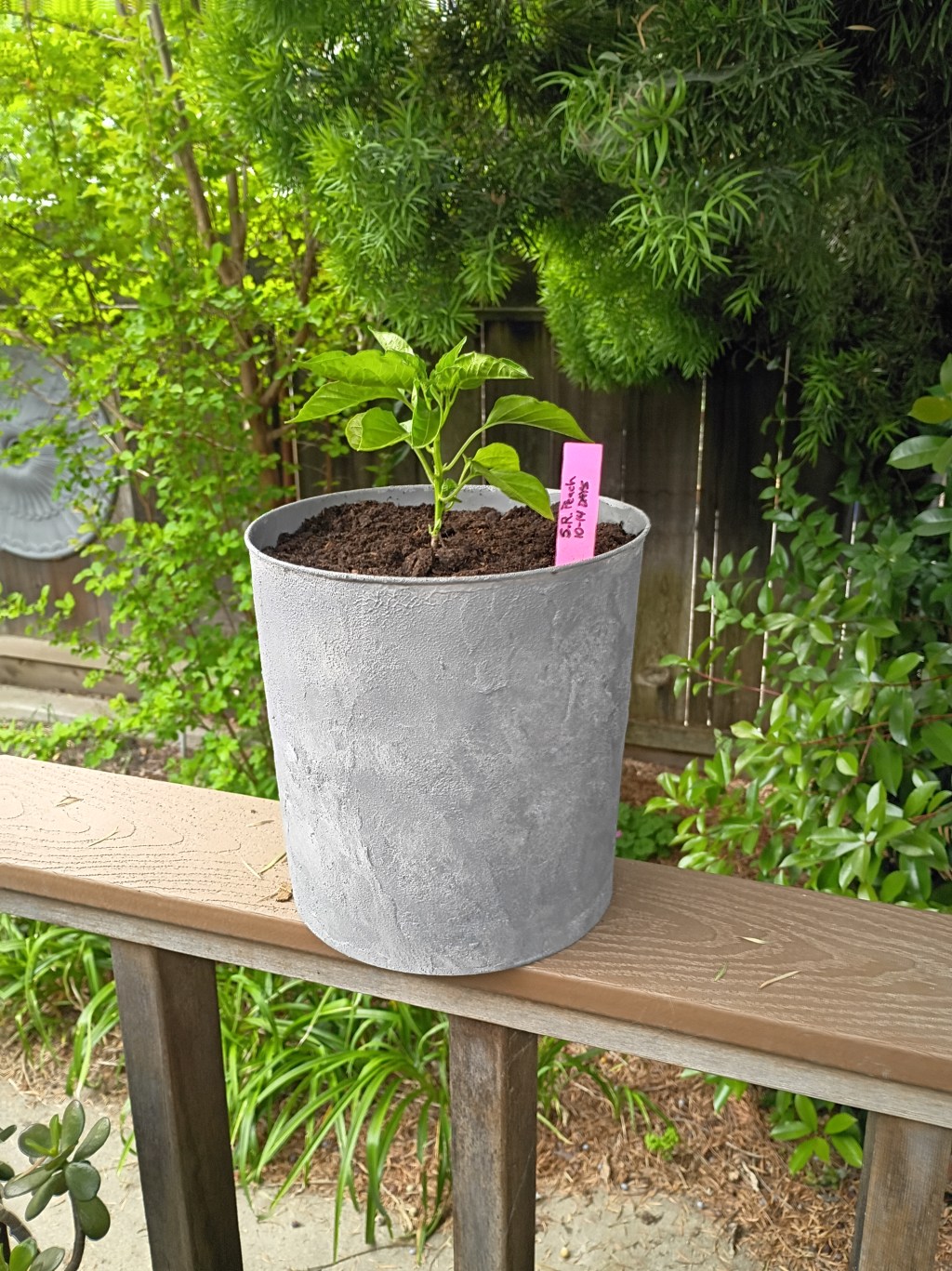 Upcycle Your Holiday Tins: Make Unique Garden&nbsp;Planters